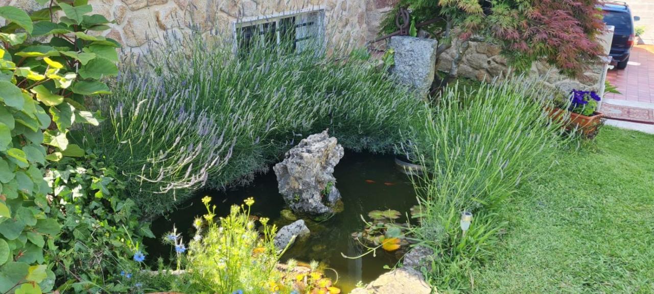 Apartamento أغواردا المظهر الخارجي الصورة